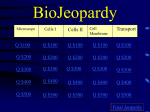 Cell BioJeopardy
