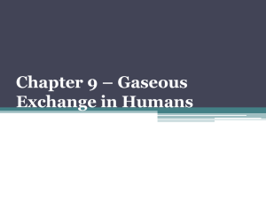 Chapter 9 – Gaseous Exchange in Humans