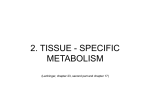 2. tissue - specific metabolism - cmb