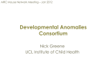 Dev Anomalies Consortium - Nick Greene