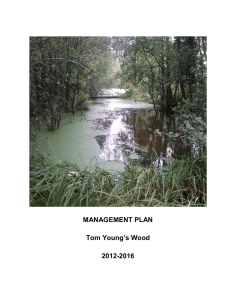 Tom Young`s Wood - monaghantownbiodiversity.com