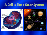 Vacuole/Solar System