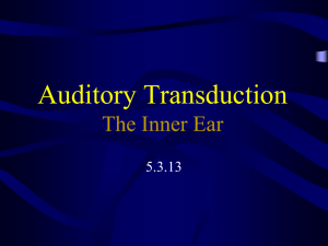 The Inner Ear - Lectures For UG-5