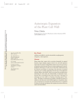 ANISOTROPIC EXPANSION OF THE PLANT CELL WALL