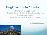 Single ventricle - Cardiothoracic Surgery