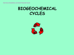 biogeochemical cycles