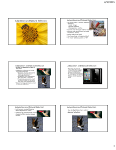 2/10/2015 1 Adaptation and Natural Selection