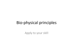 Bio-physical principles