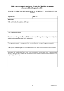 Risk Assessment made under the Genetically Modified Organisms