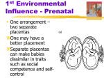 Environmental Influences PPT