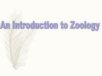 zoology_introductionx1