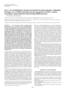 An Arabidopsis mutant perturbed in phytochrome signaling because