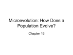 Microevolution: How Does a Population Evolve?