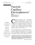 Tutorial: Capillary Electrophoresis