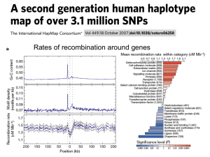 20.Human.Neanderthal.Selection