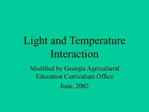 Light and Temp Interaction
