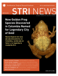 New Golden Frog Species Discovered in Colombia Named for
