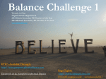 Balance Challenge 1 2014 by Victoria Otto