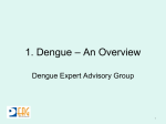 Dengue – An Overview