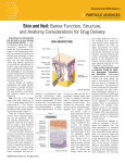 Skin and Nail: Barrier Function, Structure, and