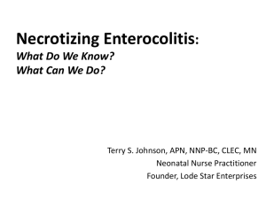 Necrotizing Enterocolitis: What Do We Know Now?
