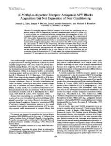 N-Methyl-D-Aspartate Receptor Antagonist APV Blocks