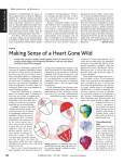 Making Sense of a Heart Gone Wild