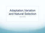 Adaption Variation and Natural Selection