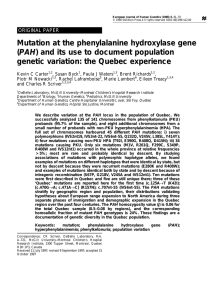 Mutation at the phenylalanine hydroxylase gene (PAH) and its use