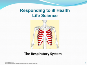L8 Respiratory PPt - Moodle