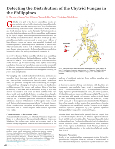 Detecting the Distribution of the Chytrid Fungus in the Philippines