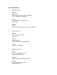 3 Types of Plant Cells