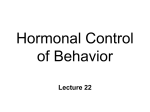 BN22 hormonal control