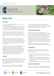 Water Vole - Keystone Environmental