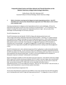 Frequently Asked Canine and Feline Adrenal and Thyroid Questions