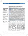 Minimally Invasive Transpalpebral ``Eyelid`` Approach to the Anterior