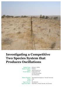 Investigating a Competitive Two Species System that Produces