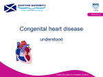 Congenital Heart Disease - WidgetLibrary Widget Test Page