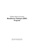 Bloodborne Pathogen (BBP) Program