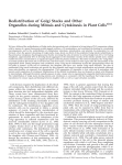 pdf, 1.1 MB - The Nebenführ Lab