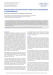 Molecular detection and characterisation of mumps virus in