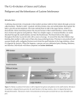 The Co-Evolution of Genes and Culture Pedigrees and the