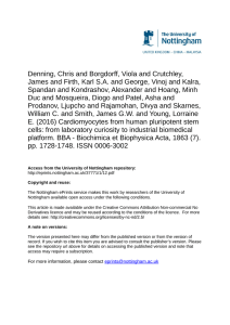 Cardiomyocytes from human pluripotent stem cells: From laboratory