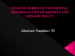 51_eposter - Stanley Radiology