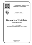 Glossary of Histology - Name - Дніпропетровська медична академія