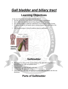 Relations of Gallbladder