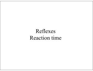 Reflexes Reaction time