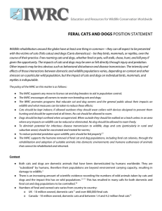 feral cats and dogs position statement