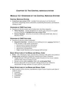 CHAPTER 12: THE CENTRAL NERVOUS SYSTEM MODULE 12.1
