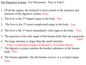 3/7/17 Digestive System